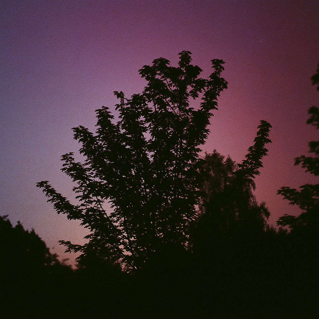 A tree with a purple aurora sky in the background
