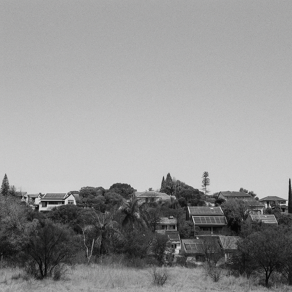 Houses nestled among trees under a clear blue sky.