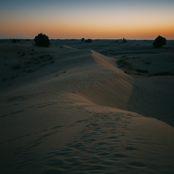 sand dunes under blue sky at dusk