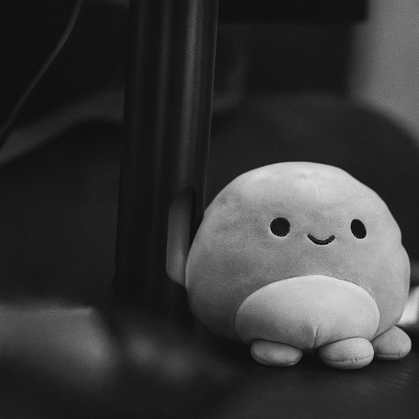 A stuffed animal sitting on top of a table